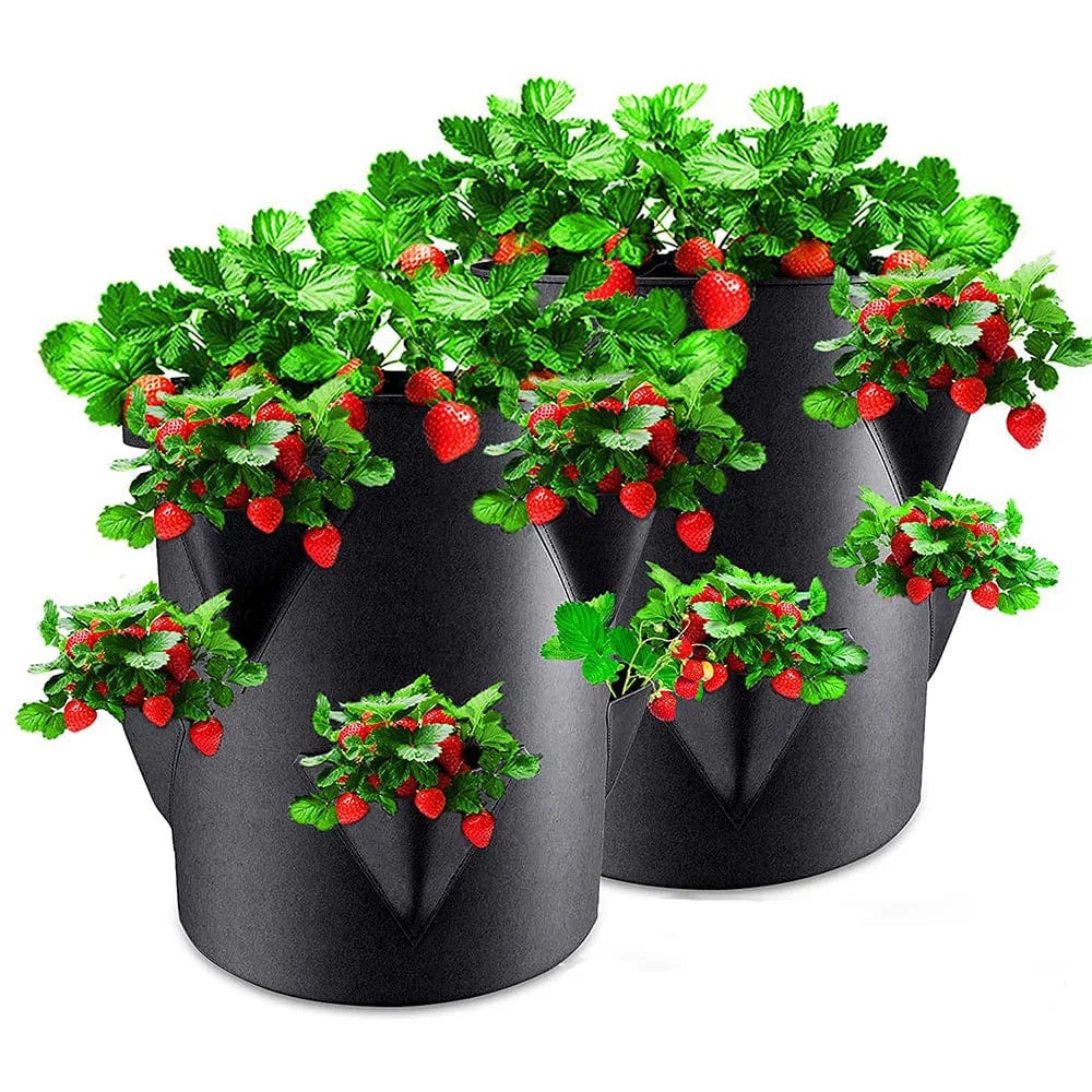 Planet Gates Multi-Mouth Grow Bag 5/7/10 Gallons Strawberry Tomato Planting Bags Reusable Gardens Balconies Flower Herb Planter