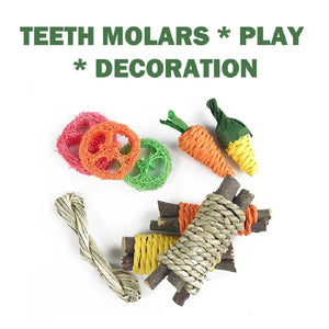Planet Gates MULTI Pet Rabbit Guinea Pig Dragon Cat Fun Toy Hamster Rabbit Rabbit Tooth Grinding Set Pet Tooth Grinding Snacks