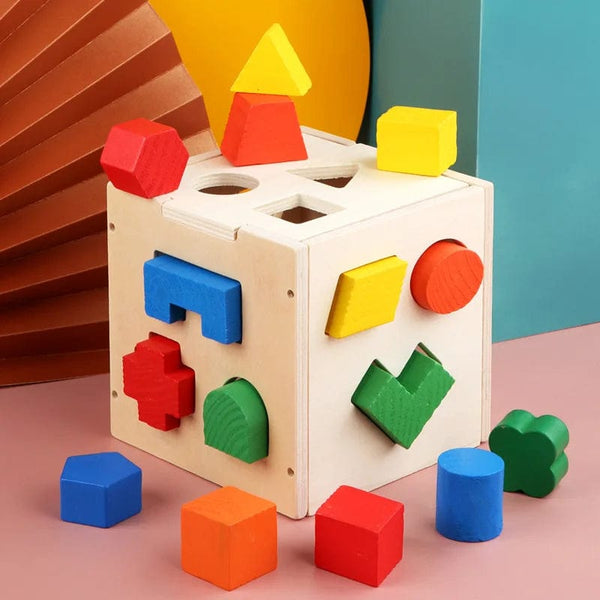 Planet Gates Multicolor Montessori 15 Hole Intelligence Box Geometric Shapes 3D Puzzle Early Education Three-Dimensional Wooden Paired Building Block