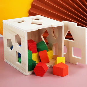 Planet Gates Multicolor Montessori 15 Hole Intelligence Box Geometric Shapes 3D Puzzle Early Education Three-Dimensional Wooden Paired Building Block