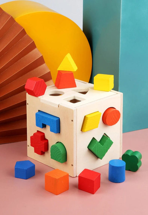 Planet Gates Multicolor Montessori 15 Hole Intelligence Box Geometric Shapes 3D Puzzle Early Education Three-Dimensional Wooden Paired Building Block