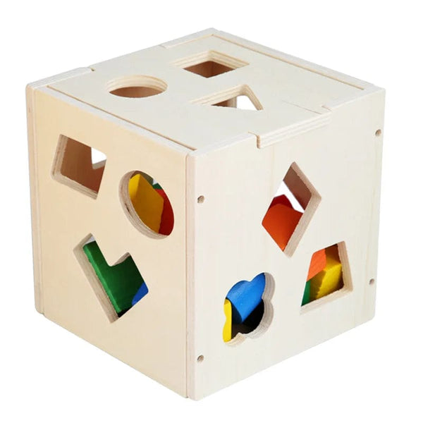 Planet Gates Multicolor Montessori 15 Hole Intelligence Box Geometric Shapes 3D Puzzle Early Education Three-Dimensional Wooden Paired Building Block