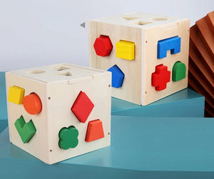 Planet Gates Multicolor Montessori 15 Hole Intelligence Box Geometric Shapes 3D Puzzle Early Education Three-Dimensional Wooden Paired Building Block