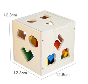 Planet Gates Multicolor Montessori 15 Hole Intelligence Box Geometric Shapes 3D Puzzle Early Education Three-Dimensional Wooden Paired Building Block