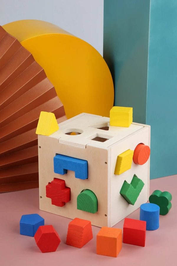 Planet Gates Multicolor Montessori 15 Hole Intelligence Box Geometric Shapes 3D Puzzle Early Education Three-Dimensional Wooden Paired Building Block