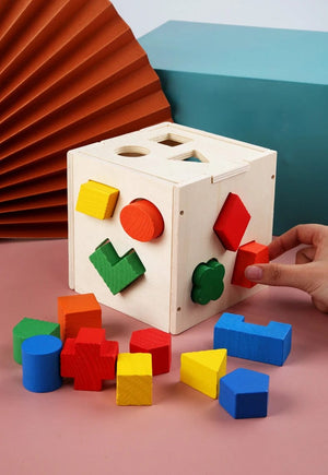 Planet Gates Multicolor Montessori 15 Hole Intelligence Box Geometric Shapes 3D Puzzle Early Education Three-Dimensional Wooden Paired Building Block