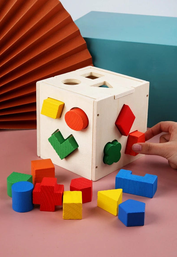 Planet Gates Multicolor Montessori 15 Hole Intelligence Box Geometric Shapes 3D Puzzle Early Education Three-Dimensional Wooden Paired Building Block
