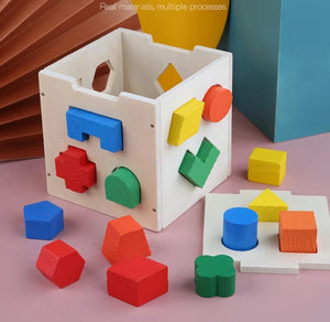 Planet Gates Multicolor Montessori 15 Hole Intelligence Box Geometric Shapes 3D Puzzle Early Education Three-Dimensional Wooden Paired Building Block