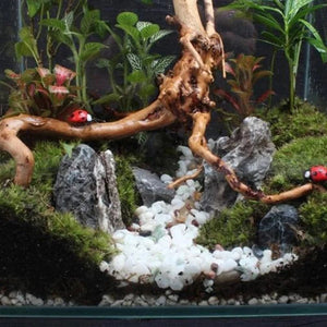 Planet Gates Natural Tree Trunk Driftwood Aquarium Fish Tank Reptile Cylinder Roots Plant Wood Decoration Ornament Accessory Aquarium Plants