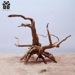 Planet Gates Natural Tree Trunk Driftwood Aquarium Fish Tank Reptile Cylinder Roots Plant Wood Decoration Ornament Accessory Aquarium Plants