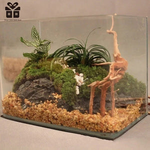 Planet Gates Natural Tree Trunk Driftwood Aquarium Fish Tank Reptile Cylinder Roots Plant Wood Decoration Ornament Accessory Aquarium Plants