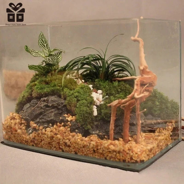 Planet Gates Natural Tree Trunk Driftwood Aquarium Fish Tank Reptile Cylinder Roots Plant Wood Decoration Ornament Accessory Aquarium Plants