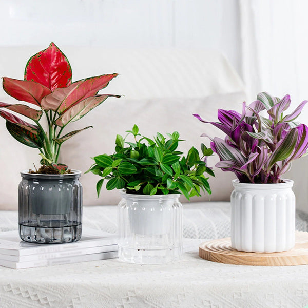 Planet Gates Navy Blue Succulent Hydroponic Plants Pot Self Watering Flowerpot Indoor Mini Planter Pots Tabletop Flower Pot Home Garden Bonsai Decor