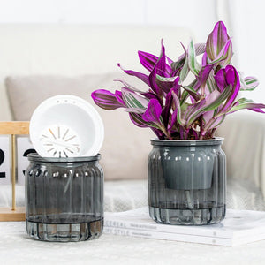 Planet Gates Navy Blue Succulent Hydroponic Plants Pot Self Watering Flowerpot Indoor Mini Planter Pots Tabletop Flower Pot Home Garden Bonsai Decor