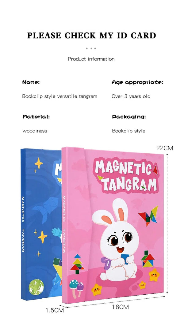 Planet Gates NB138C1 Hot Magnetic 3D Puzzle Geometric Shapes Tangram Jigsaw Board Kids Montessori Games Children Educational Wooden Toys