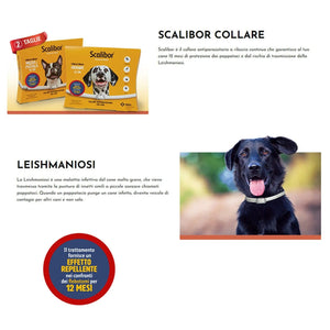 Planet Gates New 48/65CM Pet Anti Flea Ticks Antiparasitic Cats Collar Dog Protection Retractable Collars For Puppy Cat Large Dogs Accessorie