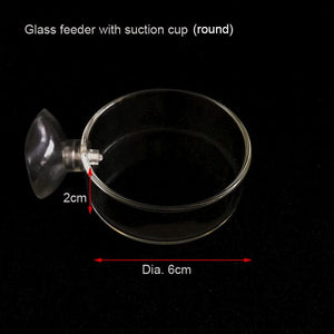 Planet Gates New Circle 6cm Glass Glass Aquarium Feeder Tube Dish Transparent Fish Tank Shrimp Snail Food Feeder Bowl Aquarium Feeding Accessories Shrimp Feeders