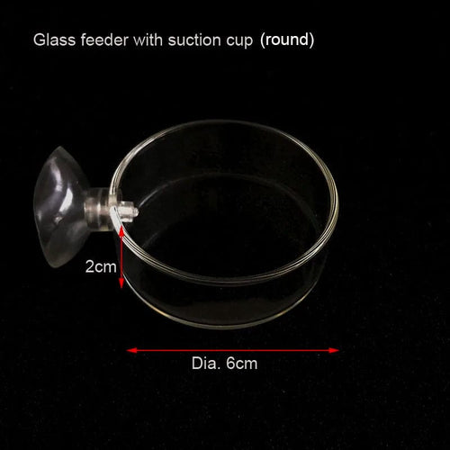 Planet Gates New Circle 6cm Glass Glass Aquarium Feeder Tube Dish Transparent Fish Tank Shrimp Snail Food Feeder Bowl Aquarium Feeding Accessories Shrimp Feeders