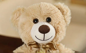 Planet Gates New Hot Christmas Bear Lovely Teddy Bear Plush Toys Stuffed Cute Bear Doll Boys&Girls Valentine's Gift Kids Baby Christmas Gift