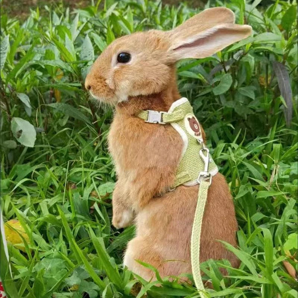 Planet Gates Newest Cute Rabbit Harness and Leash Set Bunny Pet Accessories Vest Harnesses Rabbit Leashes for Outdoor Walking Pets Supplies