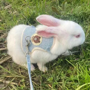 Planet Gates Newest Cute Rabbit Harness and Leash Set Bunny Pet Accessories Vest Harnesses Rabbit Leashes for Outdoor Walking Pets Supplies