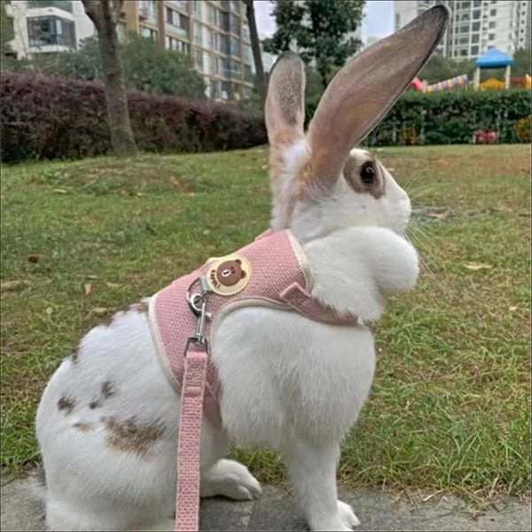 Planet Gates Newest Cute Rabbit Harness and Leash Set Bunny Pet Accessories Vest Harnesses Rabbit Leashes for Outdoor Walking Pets Supplies