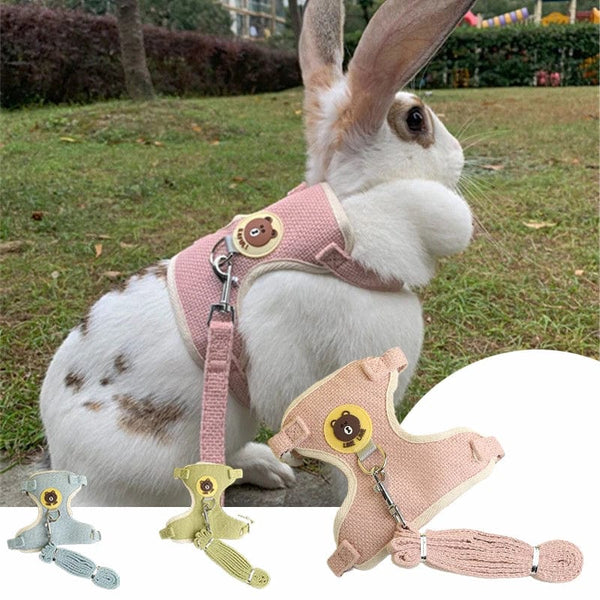 Planet Gates Newest Cute Rabbit Harness and Leash Set Bunny Pet Accessories Vest Harnesses Rabbit Leashes for Outdoor Walking Pets Supplies