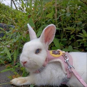 Planet Gates Newest Cute Rabbit Harness and Leash Set Bunny Pet Accessories Vest Harnesses Rabbit Leashes for Outdoor Walking Pets Supplies