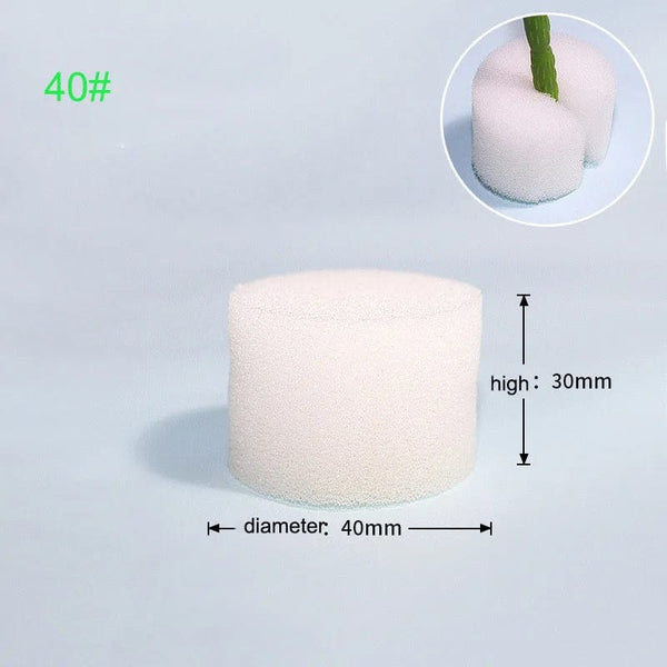 Planet Gates NO.45 black 55mm 50pcs Hydroponic Soilless Mesh Net basket Plant veg Grow Nursery Cup Pot Sponge tray Aeroponic Veg Planter Clone Colonization q1