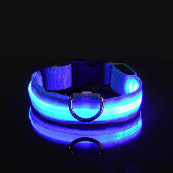 Planet Gates Nylon LED Night Safety Flashing Glow In The Dark Dog Leash Dogs Luminous Fluorescent Pet Dog Collar