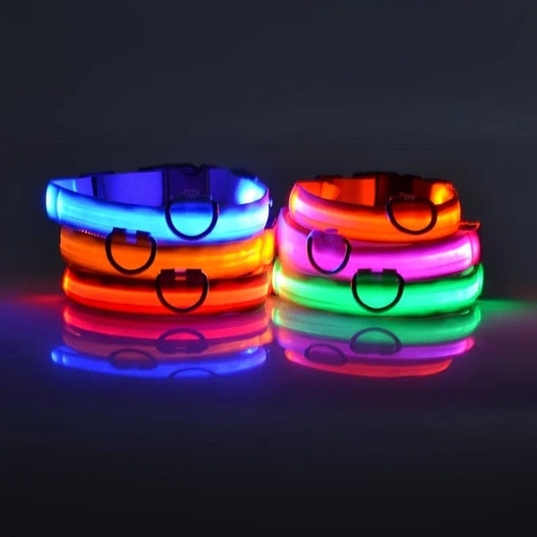 Planet Gates Nylon LED Night Safety Flashing Glow In The Dark Dog Leash Dogs Luminous Fluorescent Pet Dog Collar