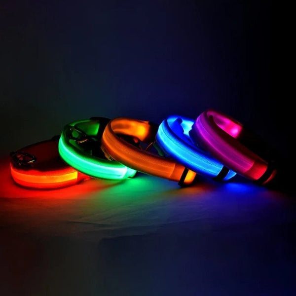 Planet Gates Nylon LED Night Safety Flashing Glow In The Dark Dog Leash Dogs Luminous Fluorescent Pet Dog Collar