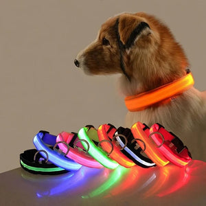 Planet Gates Nylon LED Night Safety Flashing Glow In The Dark Dog Leash Dogs Luminous Fluorescent Pet Dog Collar