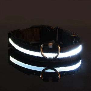 Planet Gates Nylon LED Night Safety Flashing Glow In The Dark Dog Leash Dogs Luminous Fluorescent Pet Dog Collar