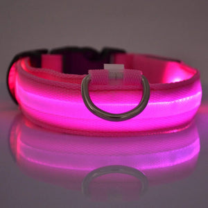 Planet Gates Nylon LED Night Safety Flashing Glow In The Dark Dog Leash Dogs Luminous Fluorescent Pet Dog Collar
