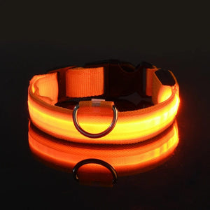 Planet Gates Nylon LED Night Safety Flashing Glow In The Dark Dog Leash Dogs Luminous Fluorescent Pet Dog Collar