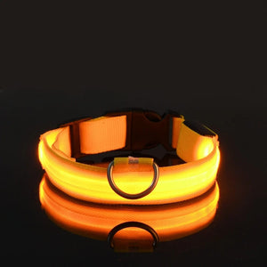 Planet Gates Nylon LED Night Safety Flashing Glow In The Dark Dog Leash Dogs Luminous Fluorescent Pet Dog Collar