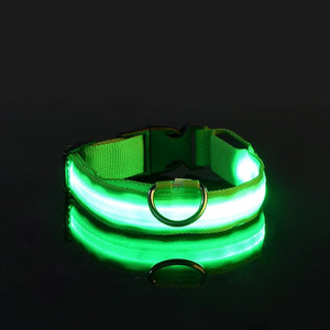 Planet Gates Nylon LED Night Safety Flashing Glow In The Dark Dog Leash Dogs Luminous Fluorescent Pet Dog Collar