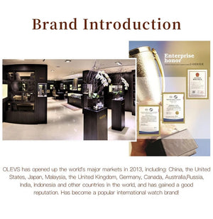 Planet Gates OLEVS Full Diamond Roman Dial Watch Women Luxury Elegant Stainless steel Waterproof High Quality Quartz Women's Watches 9943