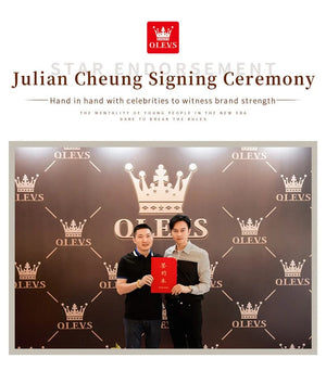 Planet Gates OLEVS Full Diamond Roman Dial Watch Women Luxury Elegant Stainless steel Waterproof High Quality Quartz Women's Watches 9943