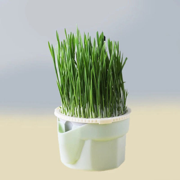 Planet Gates one size Cat Snack Mint Planting Hydroponic Box Cat Sprouts Growing TrayPlanting Cup Household Cat Grass Planter Flower