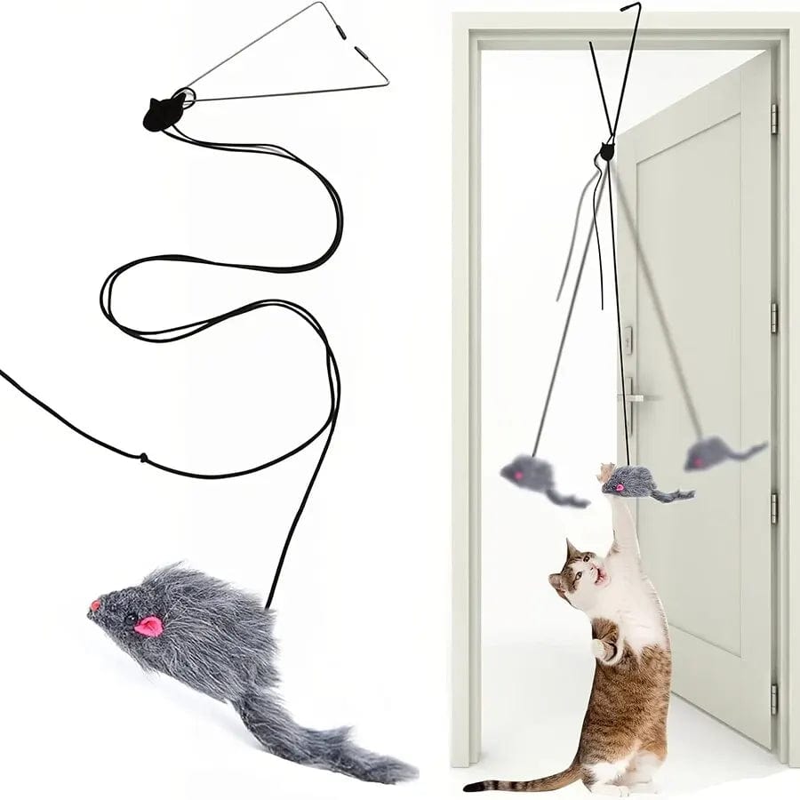 Planet Gates one-size / Dark gray Door Hanging Cat Toy Stress Relieve Living OmDoor Hanging Toy for Living Room Hanging Kitten