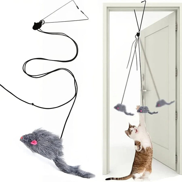 Planet Gates one-size / Dark gray Door Hanging Cat Toy Stress Relieve Living OmDoor Hanging Toy for Living Room Hanging Kitten