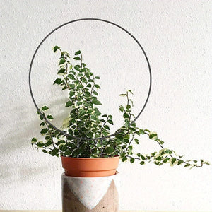 Planet Gates One Size Fits All 1set, Flower Stand Stake 34cm/13.38*23cm/9.05inch, Garden Flower Plants Supplies, Garden Balcony Gardening Beauty Planting Supplies, Planters & Container Accessories