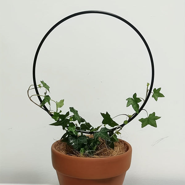 Planet Gates One Size Fits All 1set, Flower Stand Stake 34cm/13.38*23cm/9.05inch, Garden Flower Plants Supplies, Garden Balcony Gardening Beauty Planting Supplies, Planters & Container Accessories