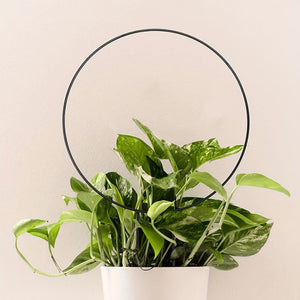 Planet Gates One Size Fits All 1set, Flower Stand Stake 34cm/13.38*23cm/9.05inch, Garden Flower Plants Supplies, Garden Balcony Gardening Beauty Planting Supplies, Planters & Container Accessories