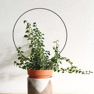 Planet Gates One Size Fits All 1set, Flower Stand Stake 34cm/13.38*23cm/9.05inch, Garden Flower Plants Supplies, Garden Balcony Gardening Beauty Planting Supplies, Planters & Container Accessories