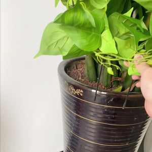 Planet Gates One Size Fits All 1set, Flower Stand Stake 34cm/13.38*23cm/9.05inch, Garden Flower Plants Supplies, Garden Balcony Gardening Beauty Planting Supplies, Planters & Container Accessories