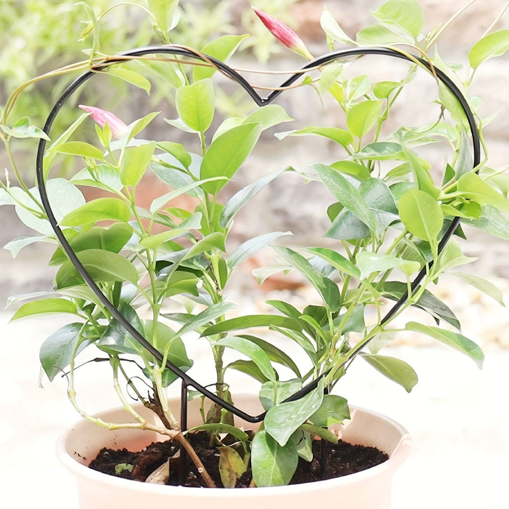 Planet Gates One Size Fits All Gorgeous Heart-Shaped Plant Support Stake - Perfect for Garden, Balcony & Flower Planting!