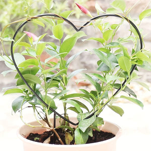 Planet Gates One Size Fits All Gorgeous Heart-Shaped Plant Support Stake - Perfect for Garden, Balcony & Flower Planting!